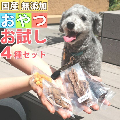 楽天市場】犬 おやつ 無添加 国産 4点 お試し 詰め合わせ セット お