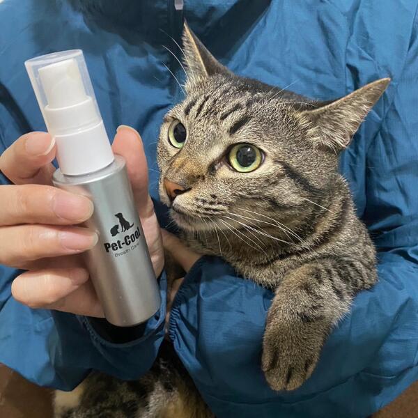 楽天市場】【公認店】Pet-Cool ペットクール Breath Care 50ml