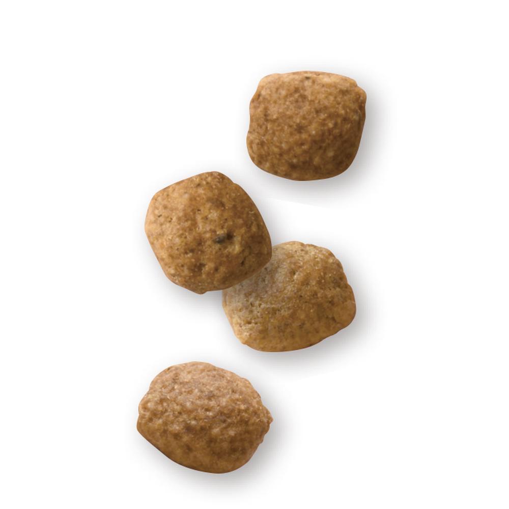 楽天市場】ロイヤルカナン 食事療法食 犬用 ユリナリーS／O＋満腹感