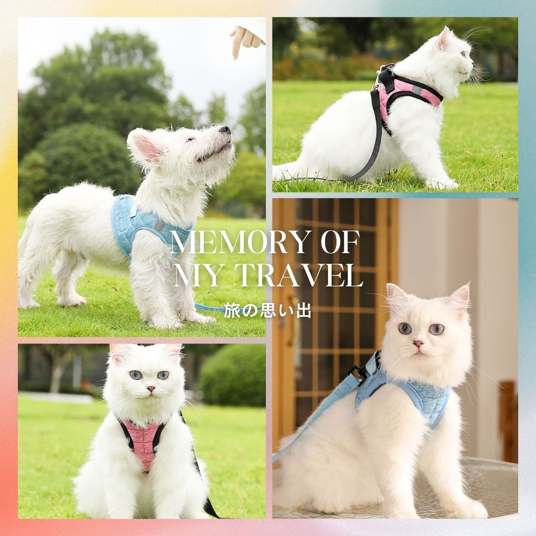 思い出のハーネスとリードハーネスリード