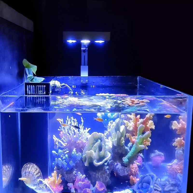 PRIME HD 青色LEDライト PRIME HD 青色LEDライト AI PRIME HD