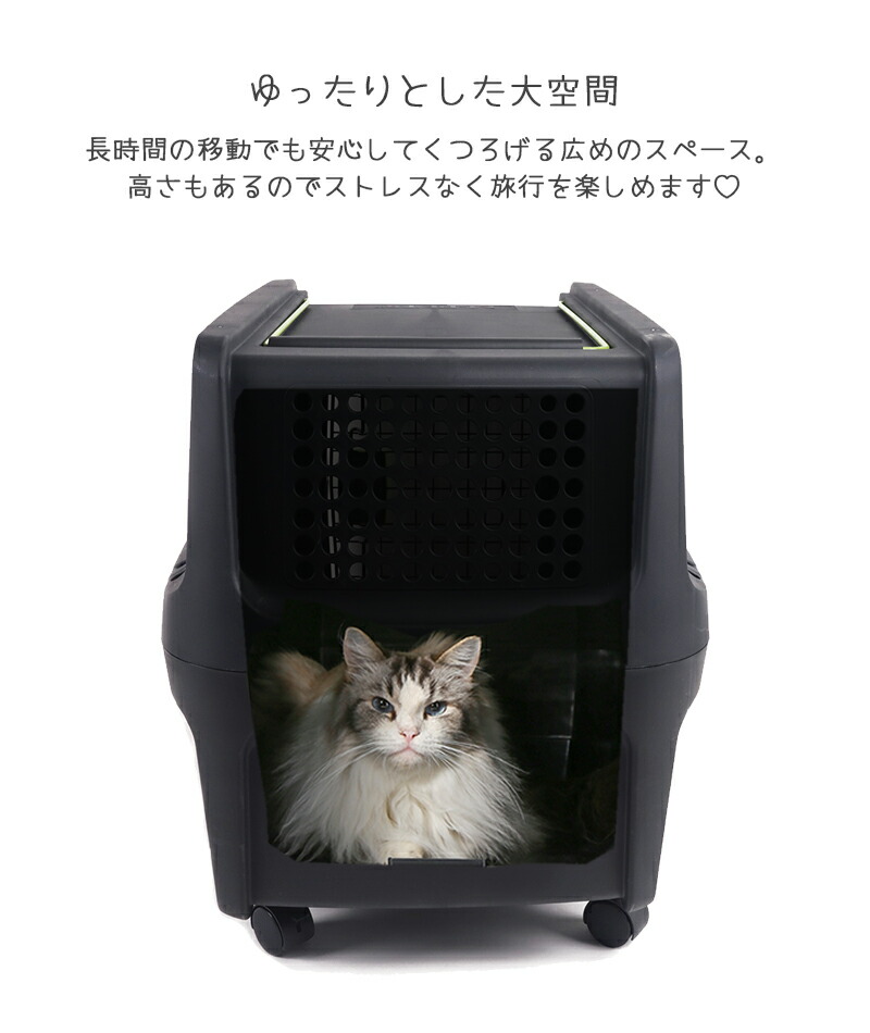 楽天市場】犬 猫 キャリー ハードキャリー 飛行機 IATA規格クリア
