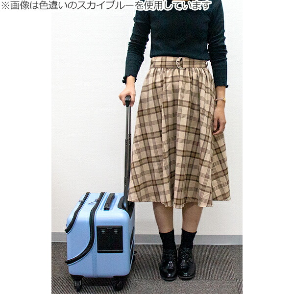 楽天市場】GEX OSOTOキャリー roller ローラー S ブラック超小型犬