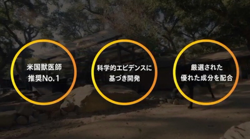 楽天市場】ダスクイン タブレット 240錠入り(8錠×30シート）関節