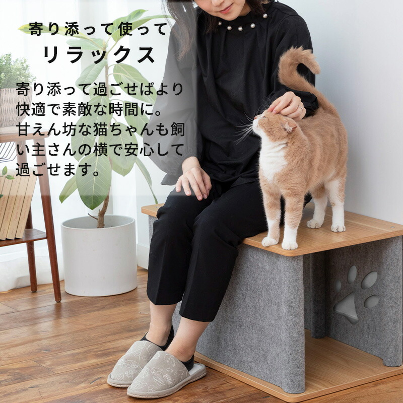 楽天市場】ニャンコノイエ (トンネル&スツール)猫 ねこ キャット