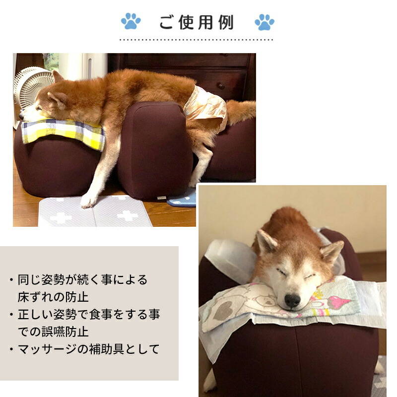 楽天市場】OneAid リラクッション ペット Lサイズ ワンエイド 犬用