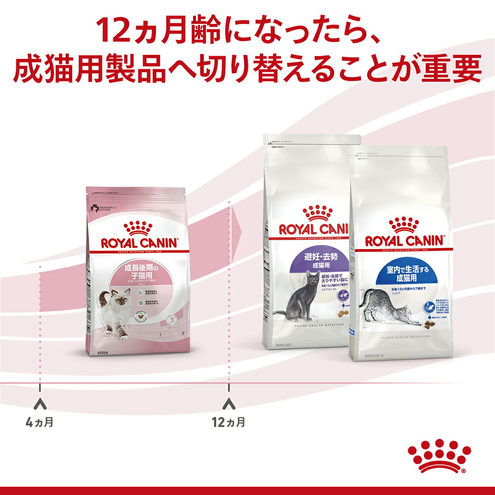 楽天市場】ロイヤルカナン キトン 2kg（成長後期の子猫専用フード