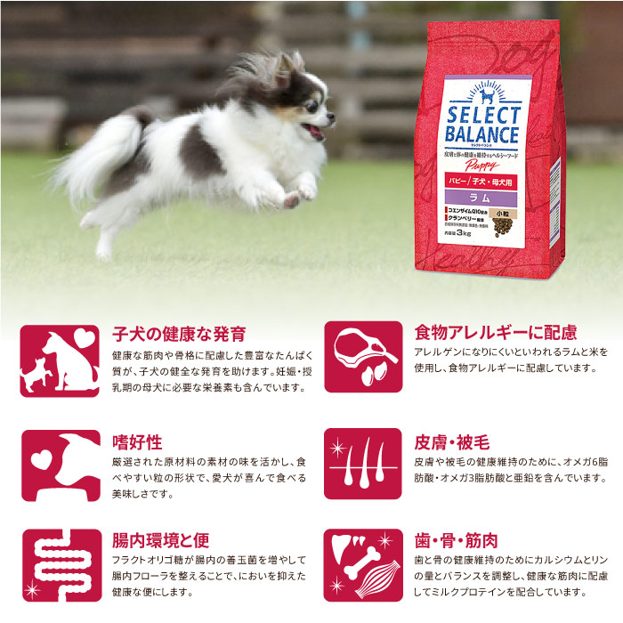 楽天市場】セレクトバランス パピー ラム 7kg 小粒 7キロ SELECT