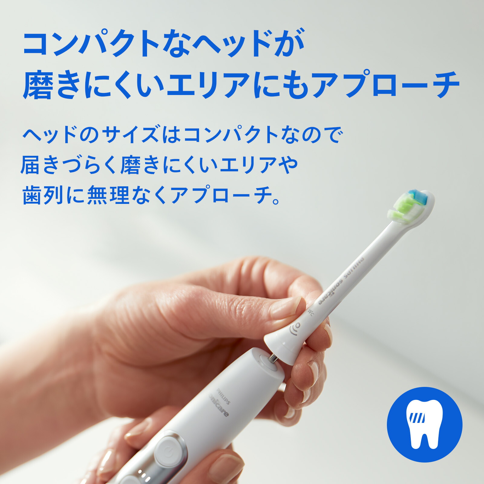 楽天市場】替えブラシ フィリップス ソニッケアーホワイトプラス