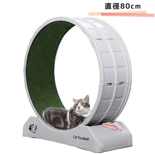 楽天市場】【ポイント2倍！】 ペット 回転ホイール キャットホイール