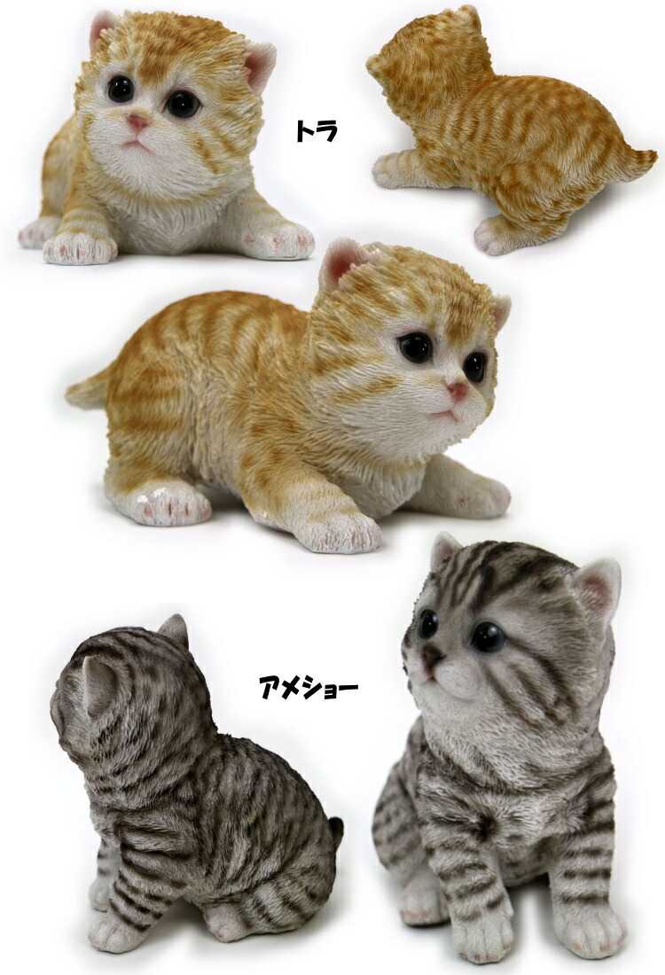 楽天市場】ベビーキャット 猫の置物 トラ/ペルシャ/アメショー