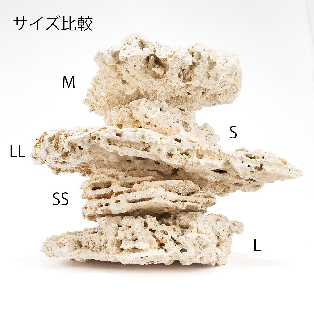 ボルクスジャパン Grassy Legna Marine 60