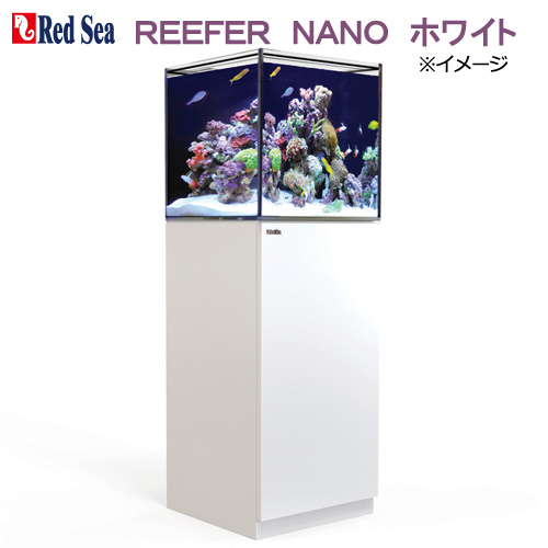 楽天市場】オーバーフロー水槽 レッドシー REEFER NANO