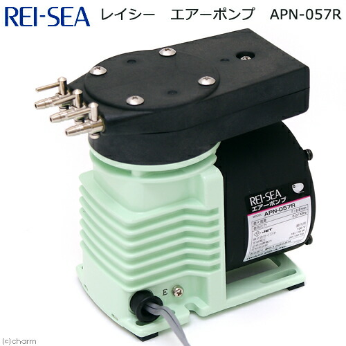 楽天市場】レイシー水陸両用ポンプ・RSD-40A 60Hz 西日本用・【お
