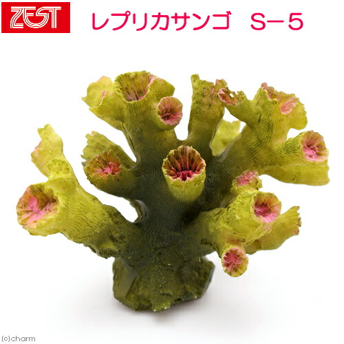 楽天市場】ゼンスイ ZEST レプリカサンゴ S−5 : plantstech楽天
