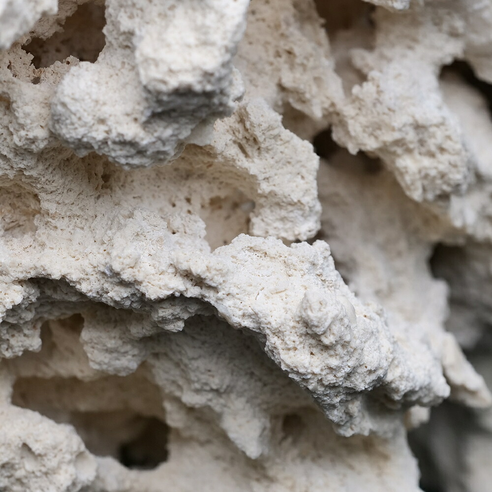 楽天市場】マルコロック リーフセーバー エッジ（Edge） Sサイズ