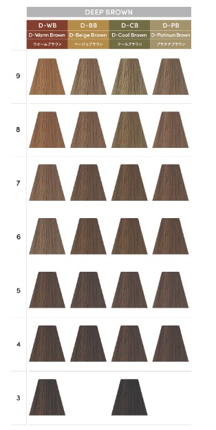 楽天市場】デミコスメティクス トイロクション ディープブラウンライン