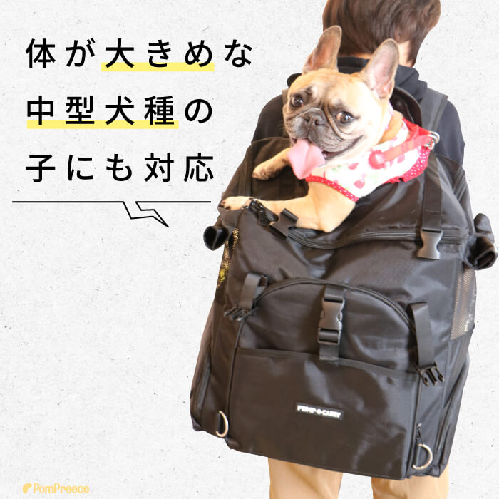 楽天市場】【エントリーでポイント5倍確定】犬 猫 小動物 キャリー