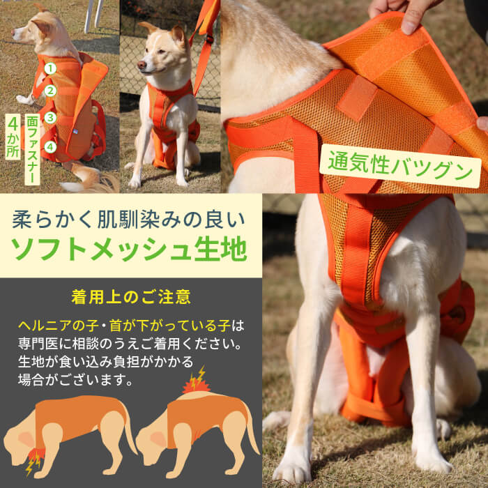 楽天市場】【エントリーでポイント5倍確定】 犬 ハーネス 介護用