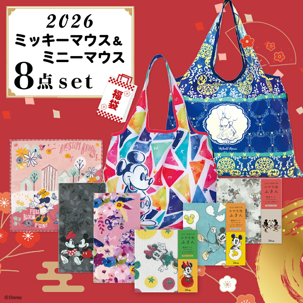 ダッフィー ミッキー ミニー ぬいぐるみ 服 エコバッグ 公式