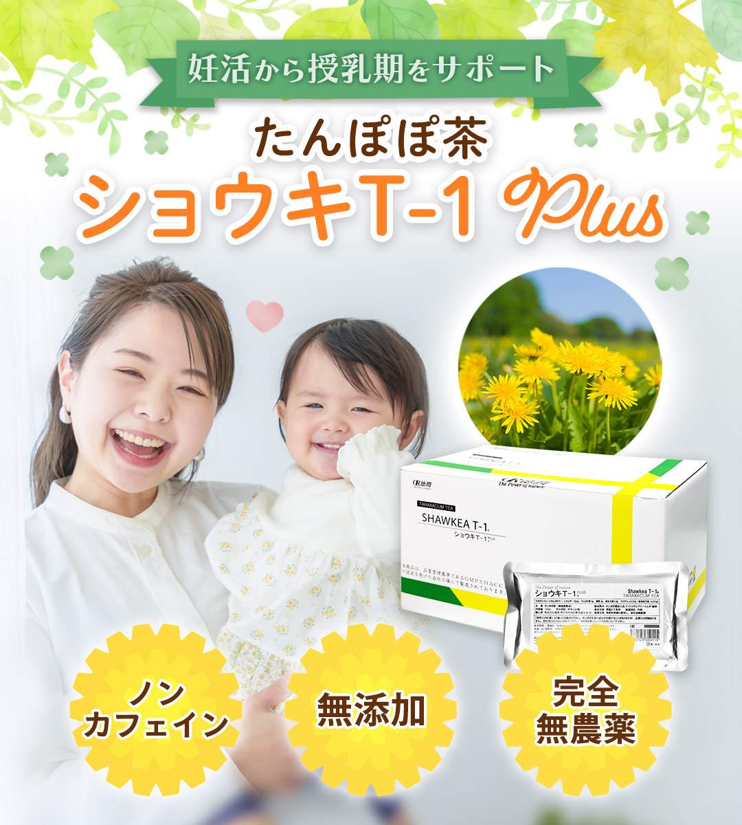 セール タンポポ茶ショウキT-1 100ml×30包 タンポポ茶 ショウキT−1