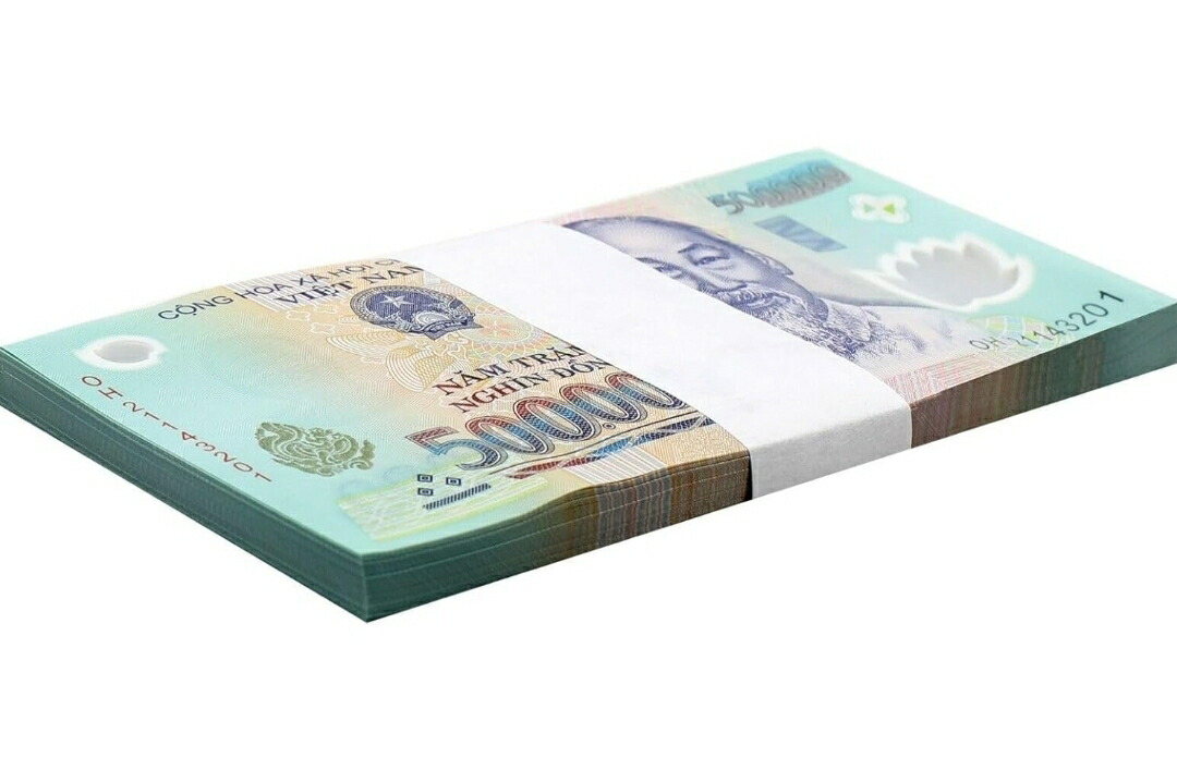 ベトナムドン ベトナム紙幣 レア紙幣 2枚 1万-5万ドン 1990年 ベトナム