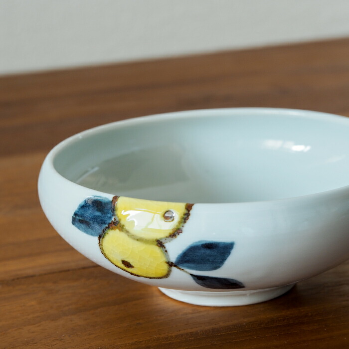 色絵磁器蝶図壺 (未使用 新品同様) 色絵磁器蝶図壺 (未使用 新品同様