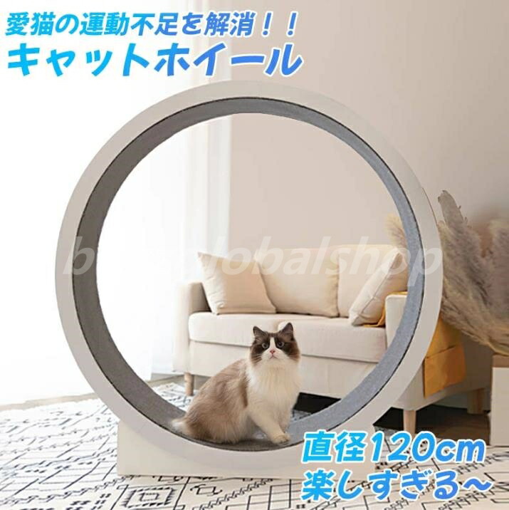 楽天市場】キャットホイール 猫専用ルームランナー 猫用回し車 猫