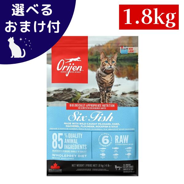 楽天市場】オリジン キャット シックスフィッシュの通販
