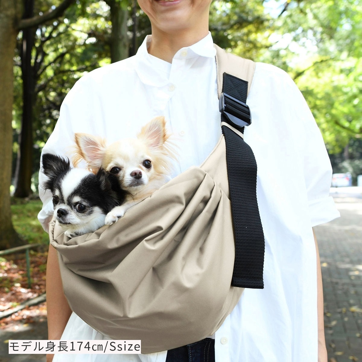 楽天市場】【予約2月19日順次発送】【ご愛顧SALE】犬 猫 小型犬 犬用