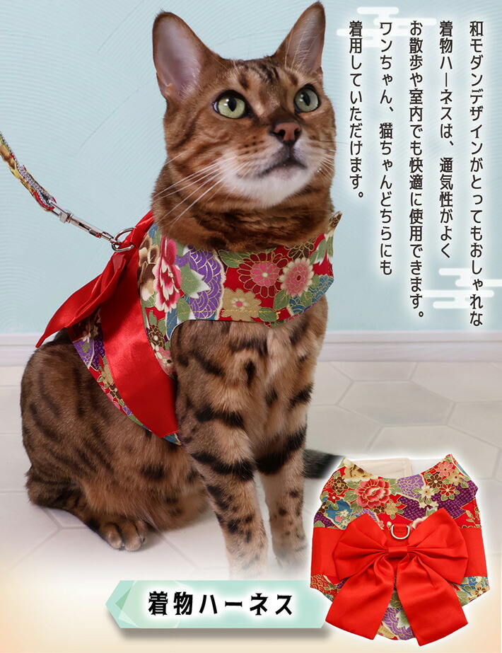 楽天市場】【支援募金対象】ハーネス 犬 猫 ペット 着物 ハーネス 小型