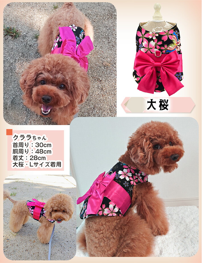 楽天市場】【支援募金対象】ハーネス 犬 猫 ペット 着物 ハーネス 小型