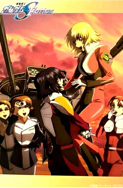 機動戦士ガンダムSEEDアスラン・ザラ カガリ・ユラ・アスハ カード