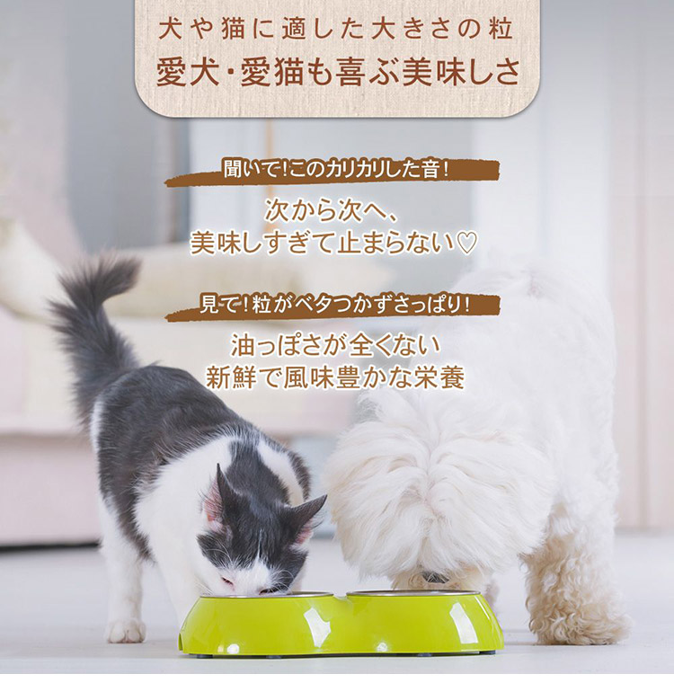 楽天市場】CHARM チャーム ラム&サーモンドッグ 10kg 犬用 いぬ用