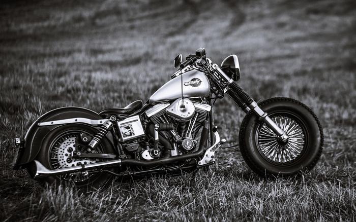 楽天市場】ハーレー（壁紙・装飾フィルム｜インテリア・寝具・収納）の通販