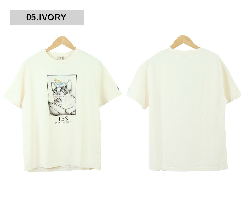 楽天市場】TES Tシャツ TES メンズ エンドレスサマー Tシャツ The