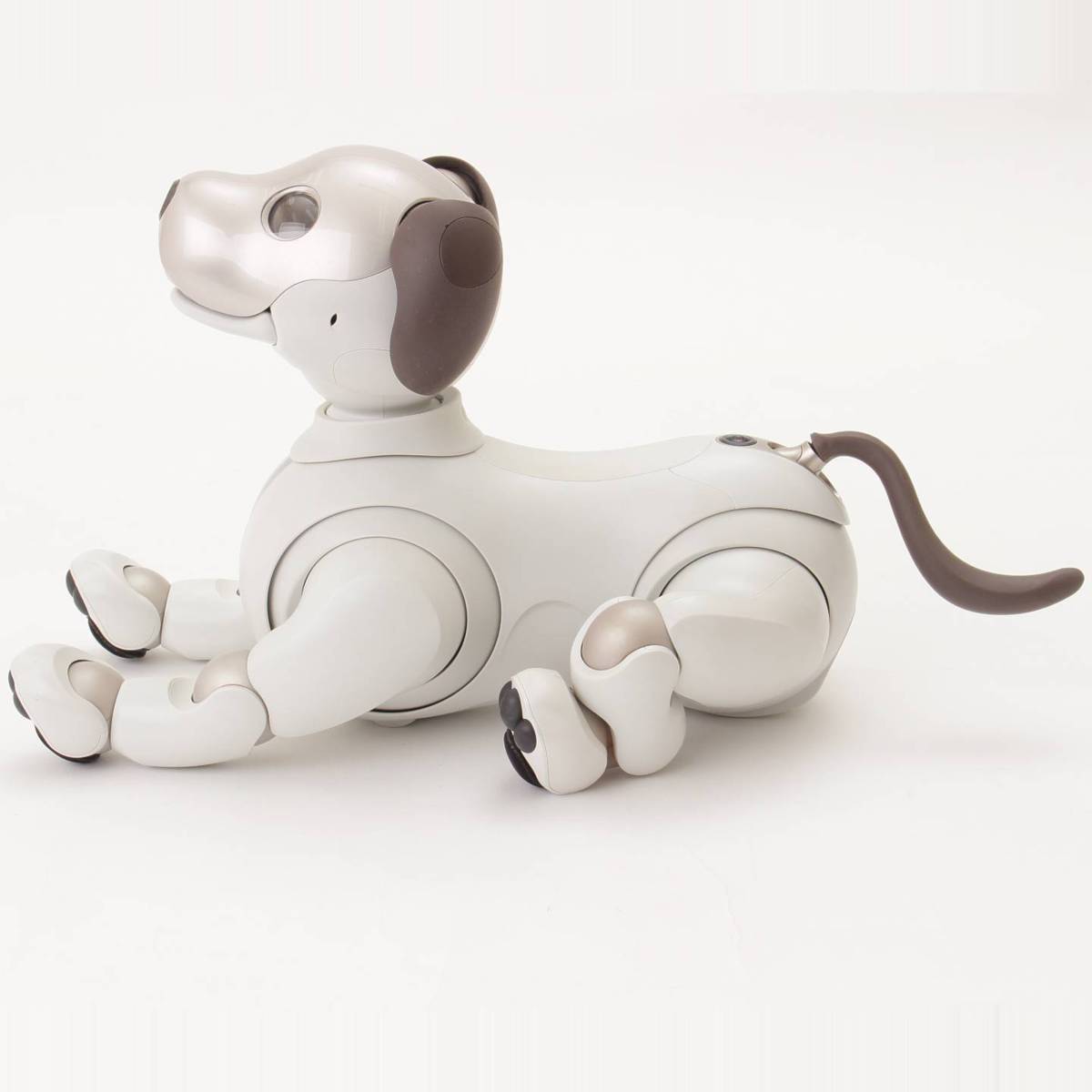 SONY aibo ロボット犬 グレー 付属品付き SONY AIBO ロボット犬 グレー