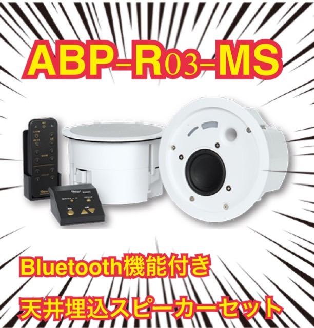INABA Bluetooth Player ABP-R03-MS スピーカー