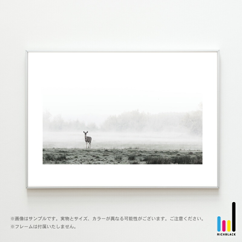 楽天市場】Deer 写真 アート ポスター [ A4 ]鹿 シカ 北欧 北欧風 北欧