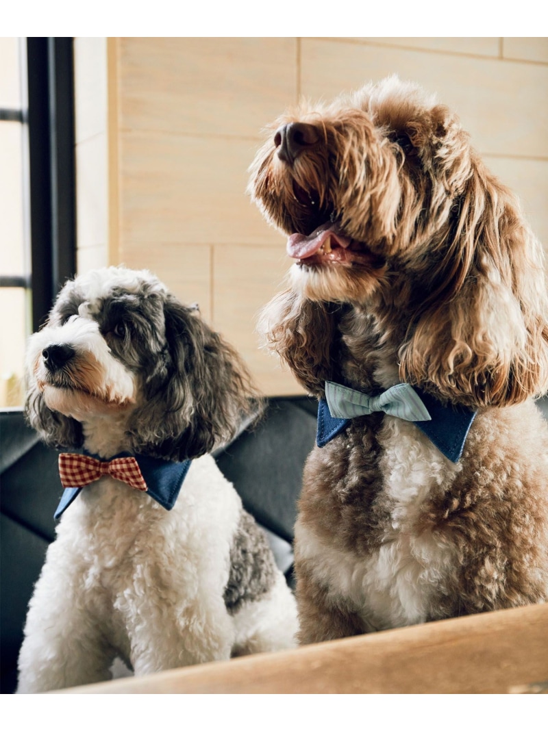 ROPE' PICNIC 襟付き蝶ネクタイ S 【公式通販】