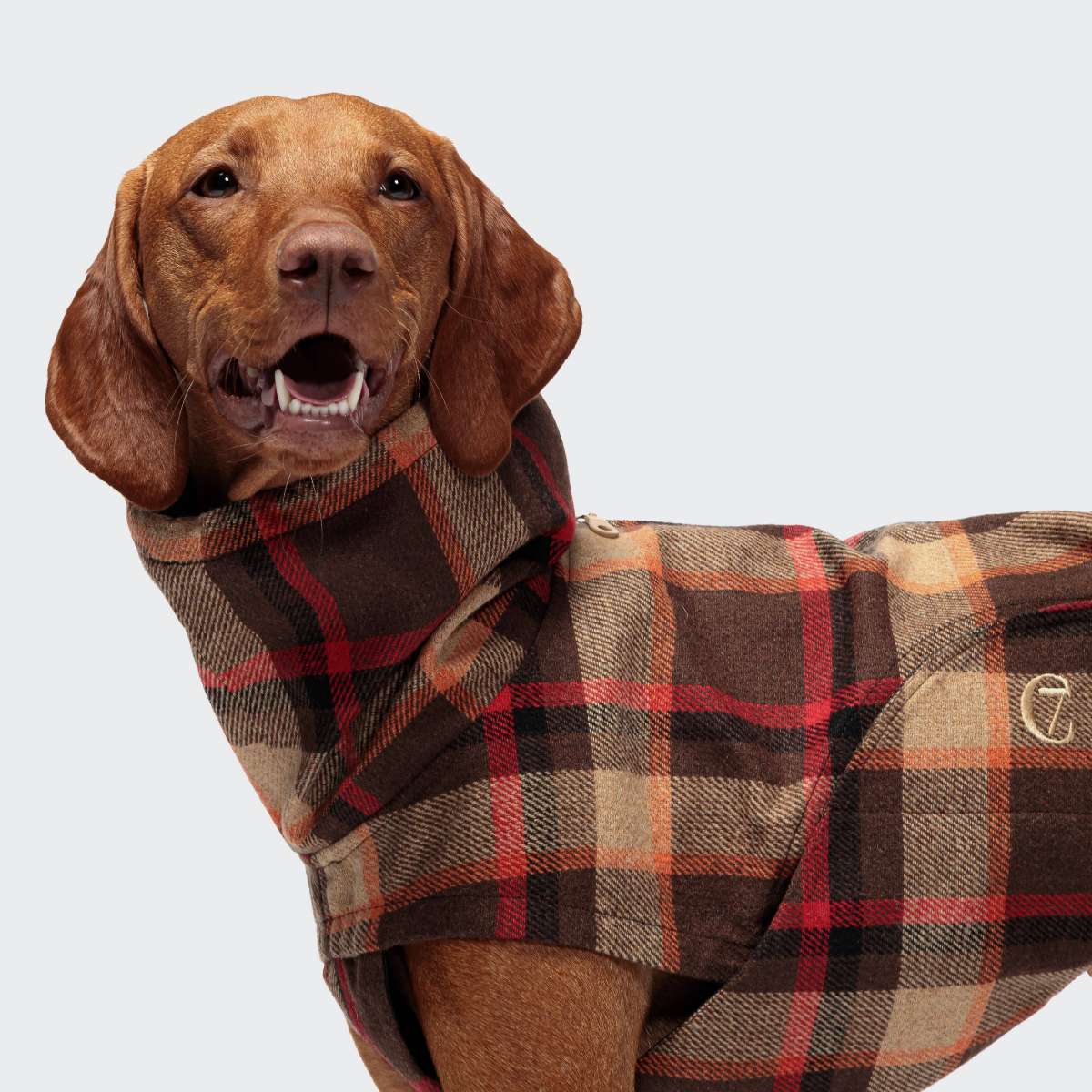 楽天市場】犬用コート Cloud7 クラウド7 グラスゴー オレンジ SIZE3/4