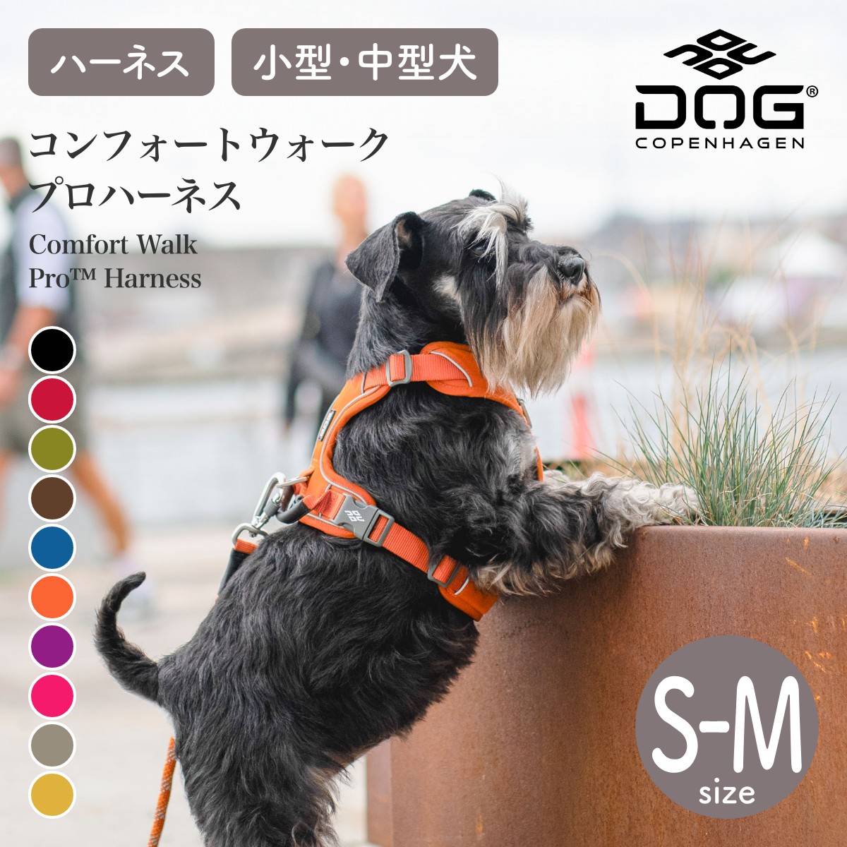 楽天市場】【P7/マラソン】犬 ハーネス 小型犬 中型犬 コンフォート