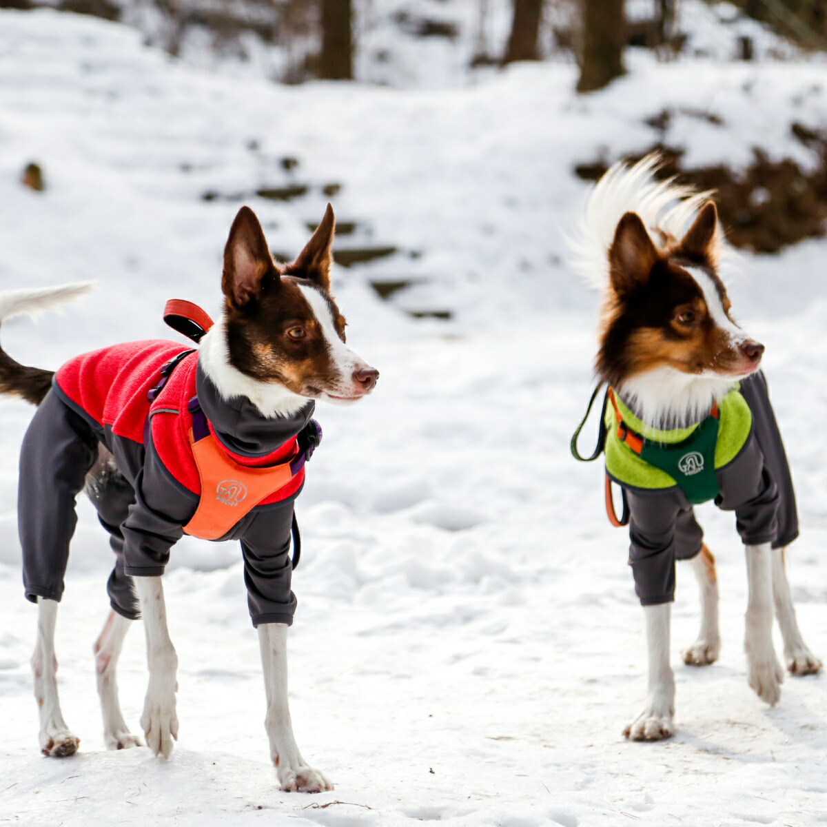 楽天市場】【TAILHIGH テールハイ】フリースヒータートップ Go2 Fleece