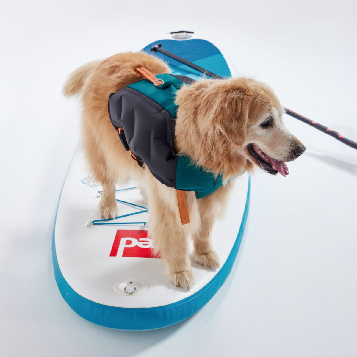 楽天市場】【TAILHIGH テールハイ】ライフジャケット Inflatable