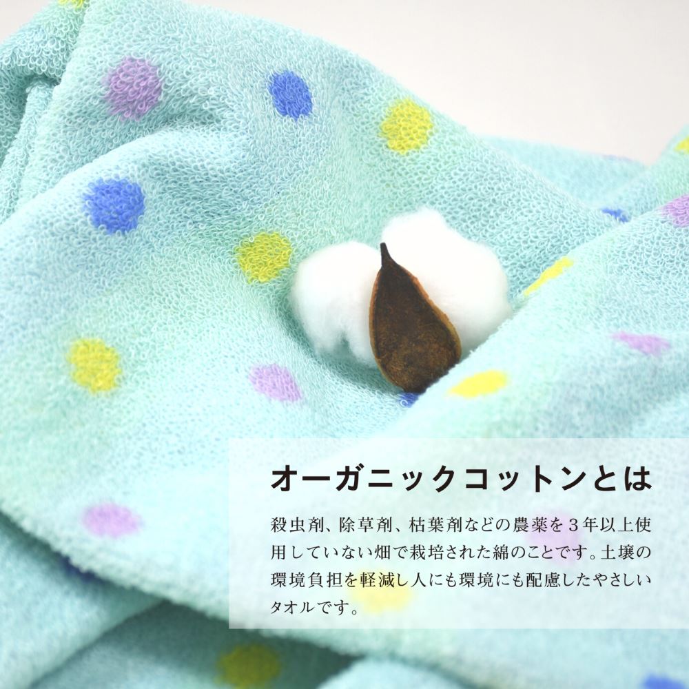 楽天市場】はらぺこあおむし オーガニックフェイスタオル キャンディ