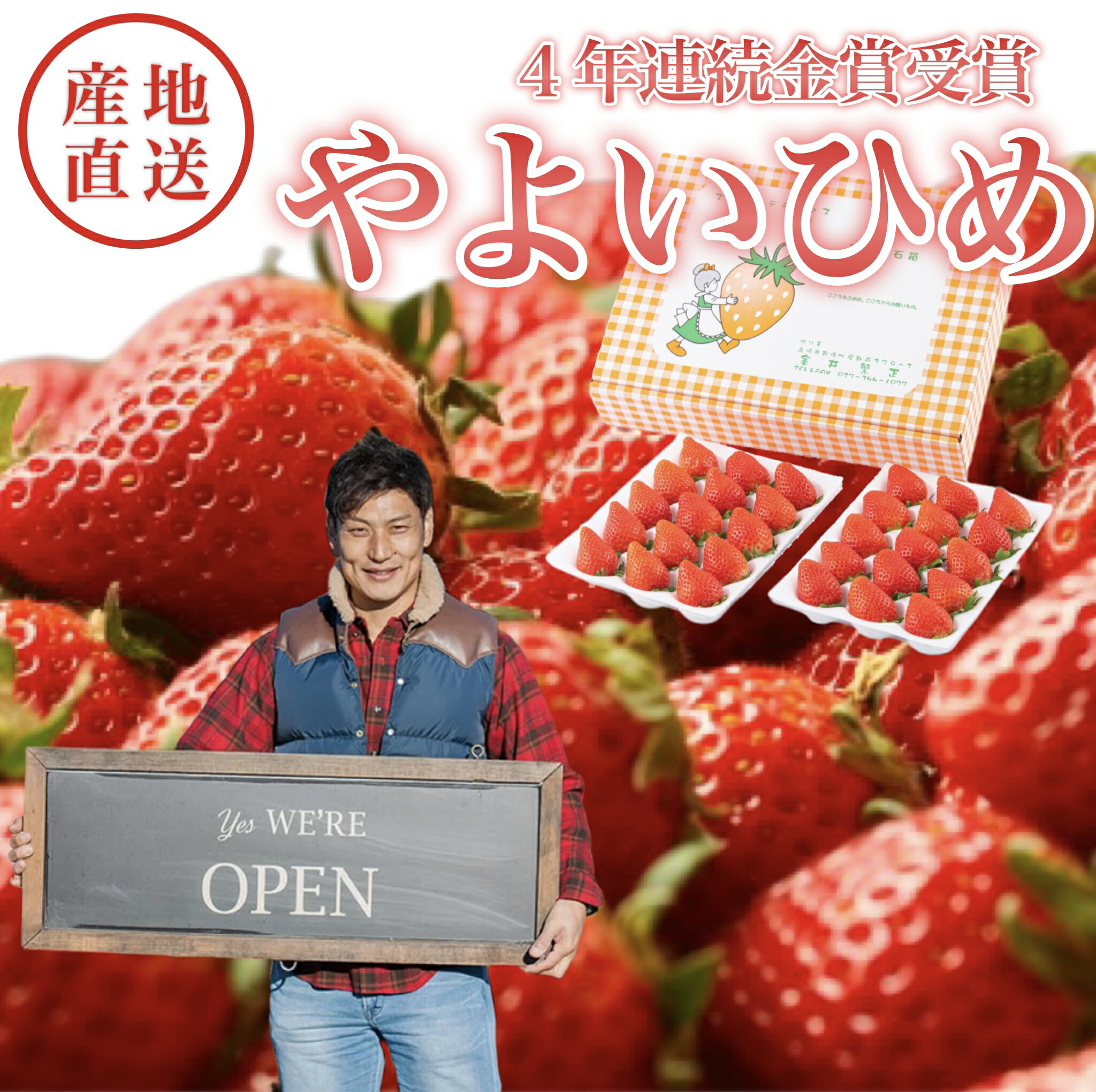 楽天市場】スーパーデラックスダブル やよいひめ 4年連続金賞 群馬県
