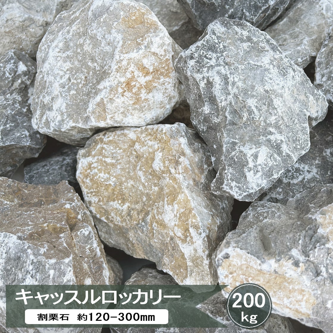 希少原石 大型 結晶片岩 シスト 庭石 ロックガーデン ガーデニング