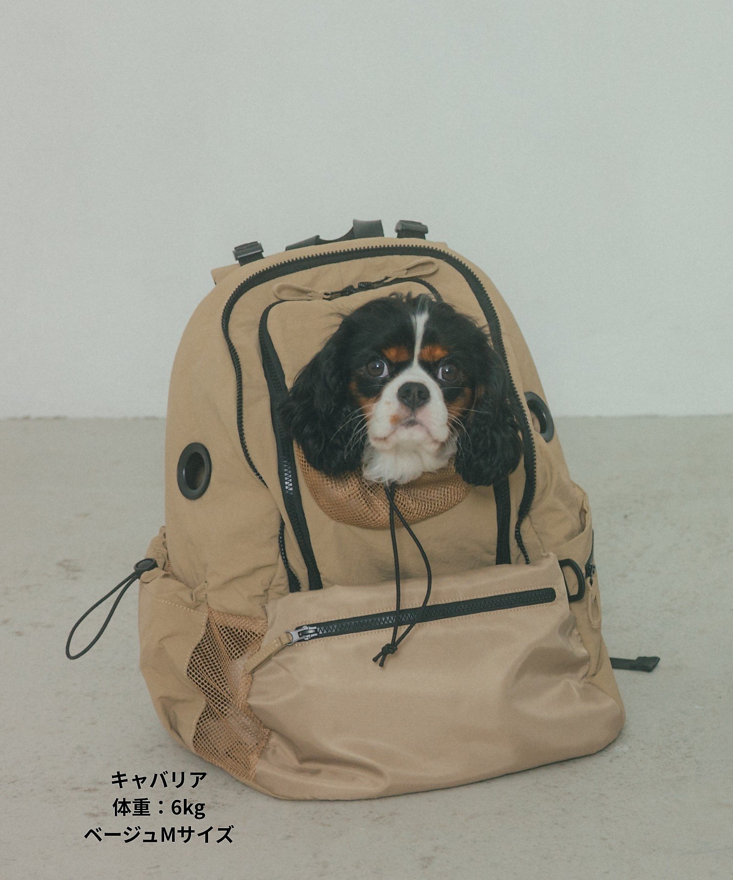 LOWELL Things｜MATIE/ペットリュックM【Direction by 有末 麻祐子