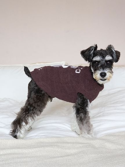 gelato pique｜【CAT&DOG】ベビモコシュナウザージャガードプル