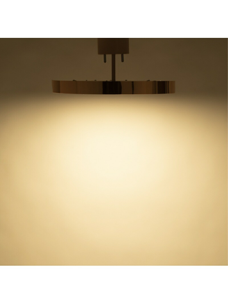 楽天市場】【SALE／20%OFF】Francfranc プラティックシーリングランプ